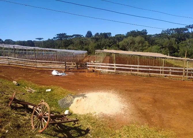  OPORTUNIDADE! Sítio com Casa Boa, Estufas, Tanques e Cachoeira - Aceita Permuta em Jlle - Foto 5