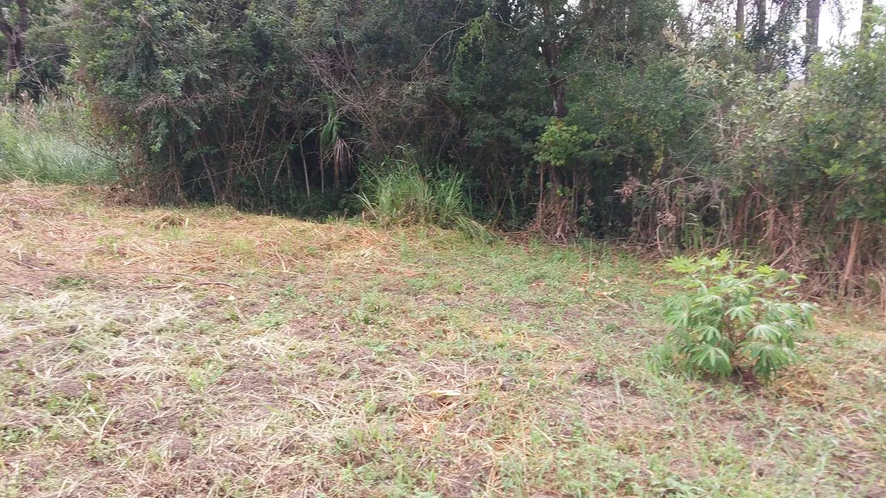 TERRENO JARDIM CANANÉIA 1.439,00 M2 - Foto 13