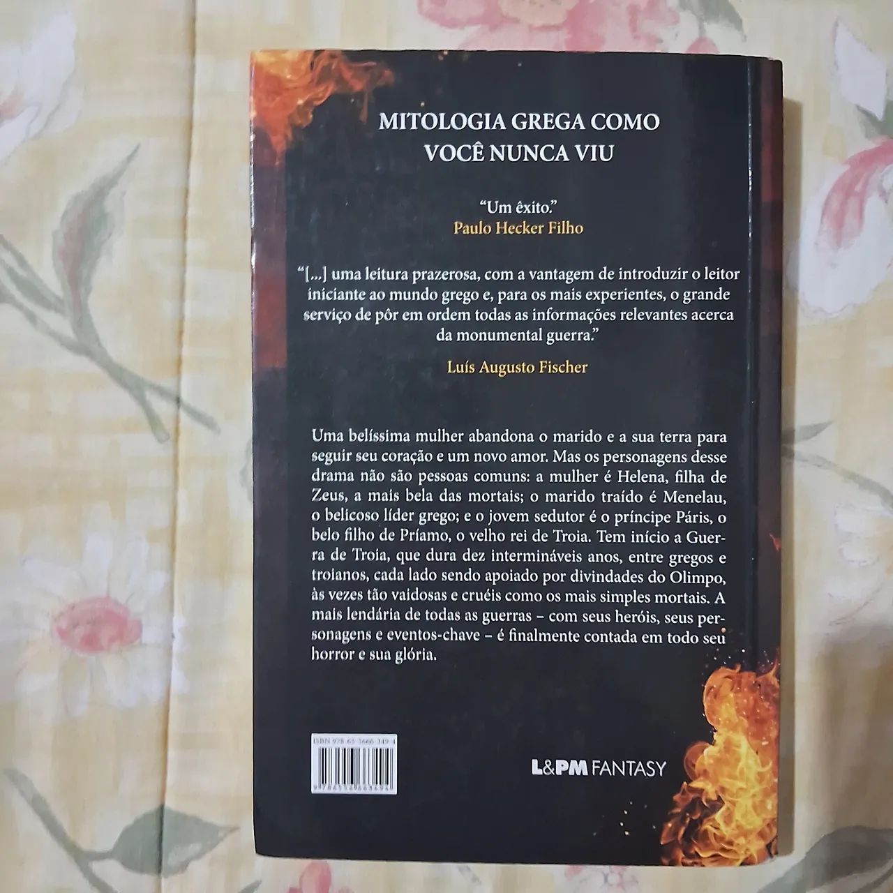 Troia: o romance de uma guerra - Foto 2