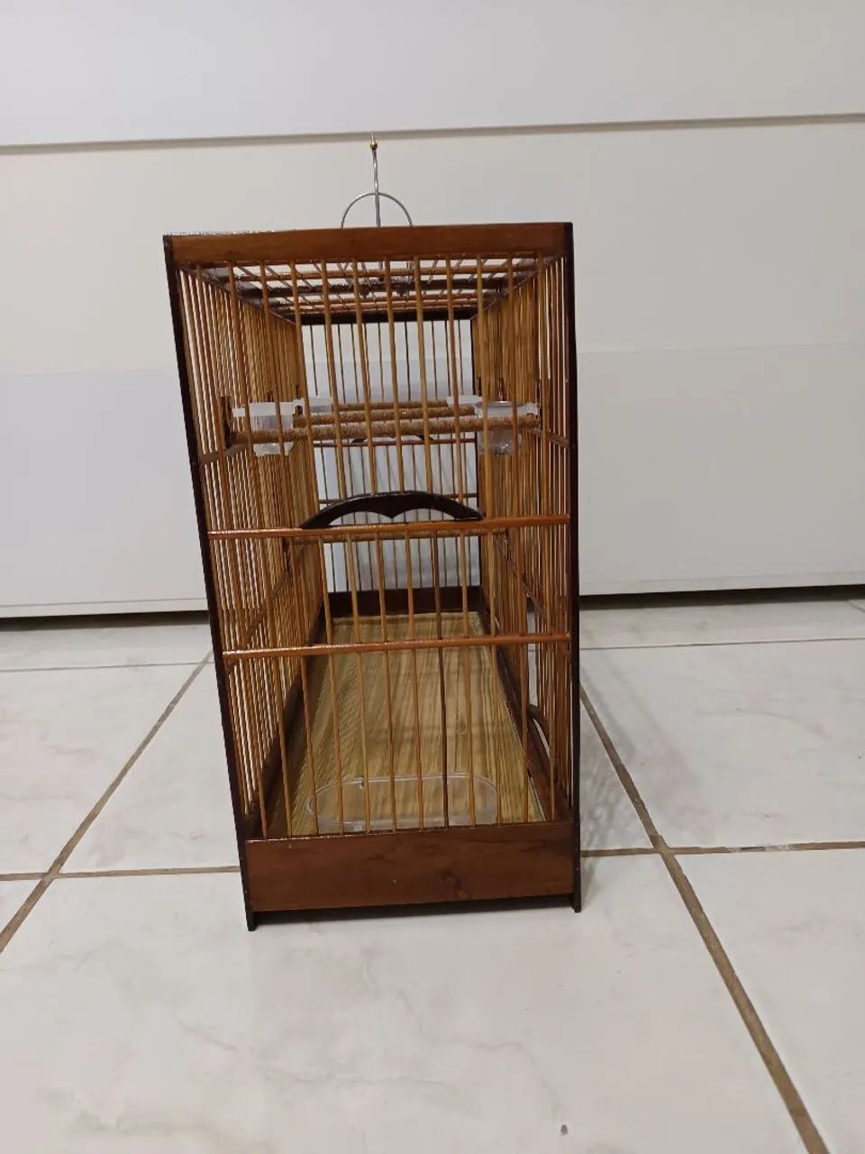 Voador Coleiro. - Foto 5