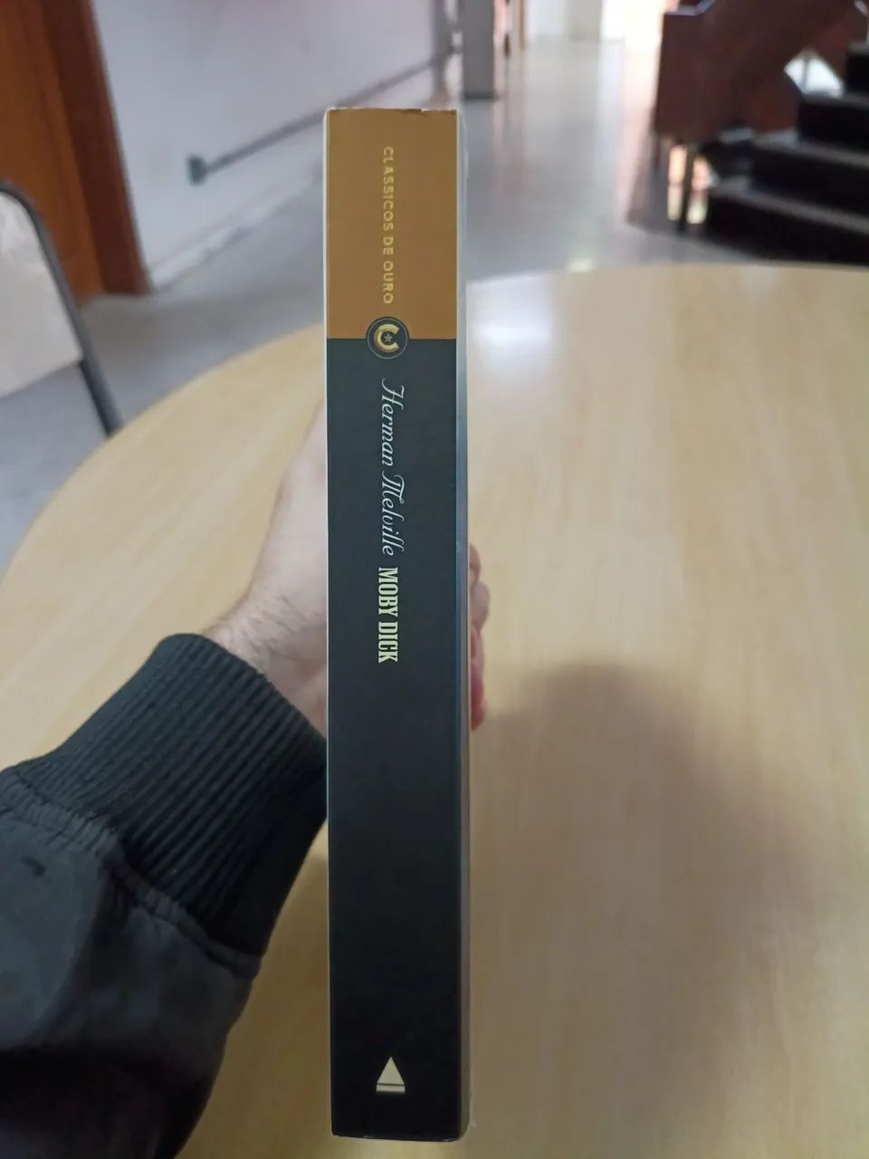 Moby Dick livro - Foto 2