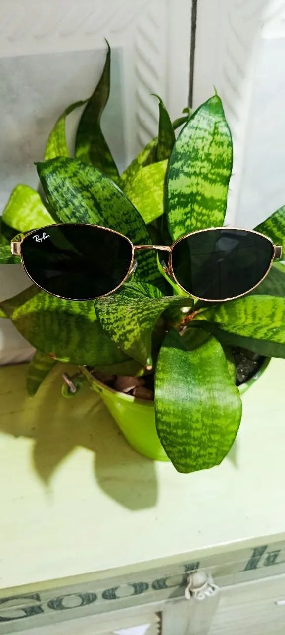 Rayban original 