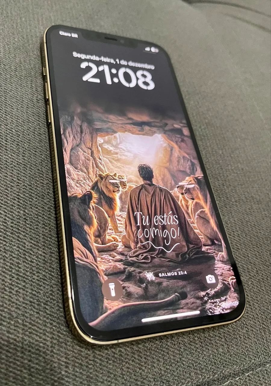 IPHONE 12 PRO MAX 256GB GOLD - Celulares e Smartphones - Araçagy