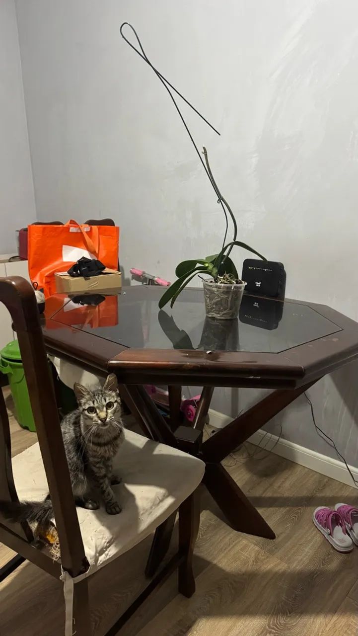 Mesa - Foto 2