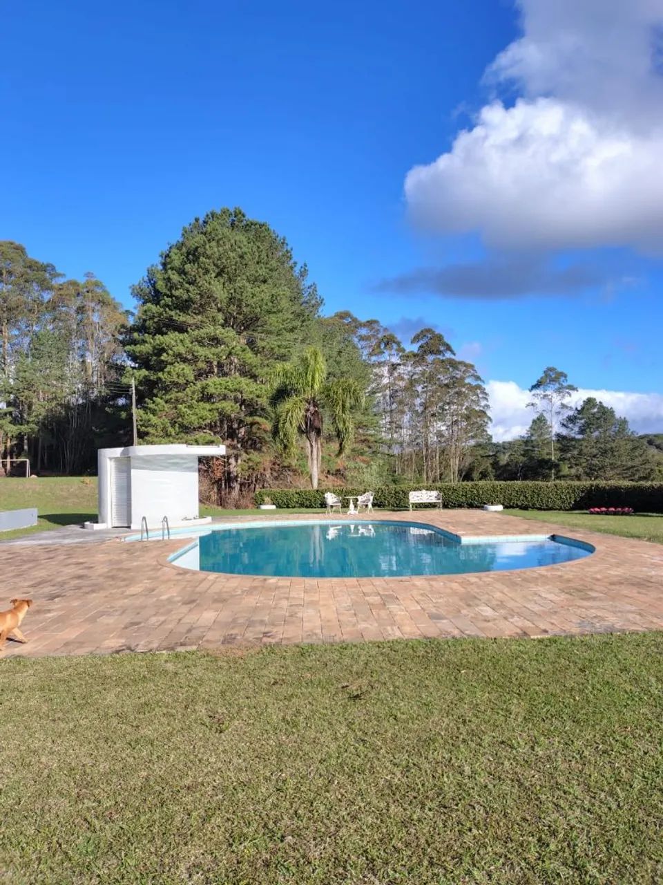 Vende- se  - Foto 5