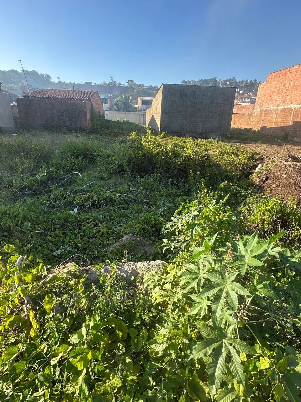 Foto - Barra de Santo Antônio - 