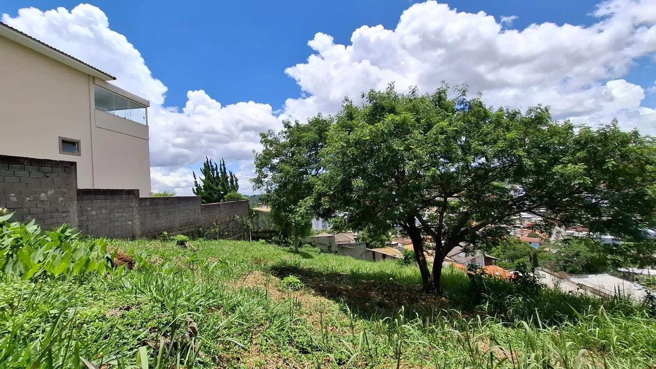 Lote / Terreno - São Pedro - Foto 2