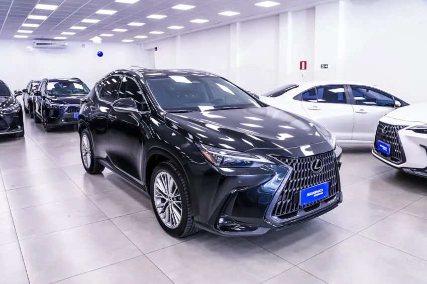 Lexus NX-350h Luxury 2.5 16V Aut. (hybrid), foto 5 de 19