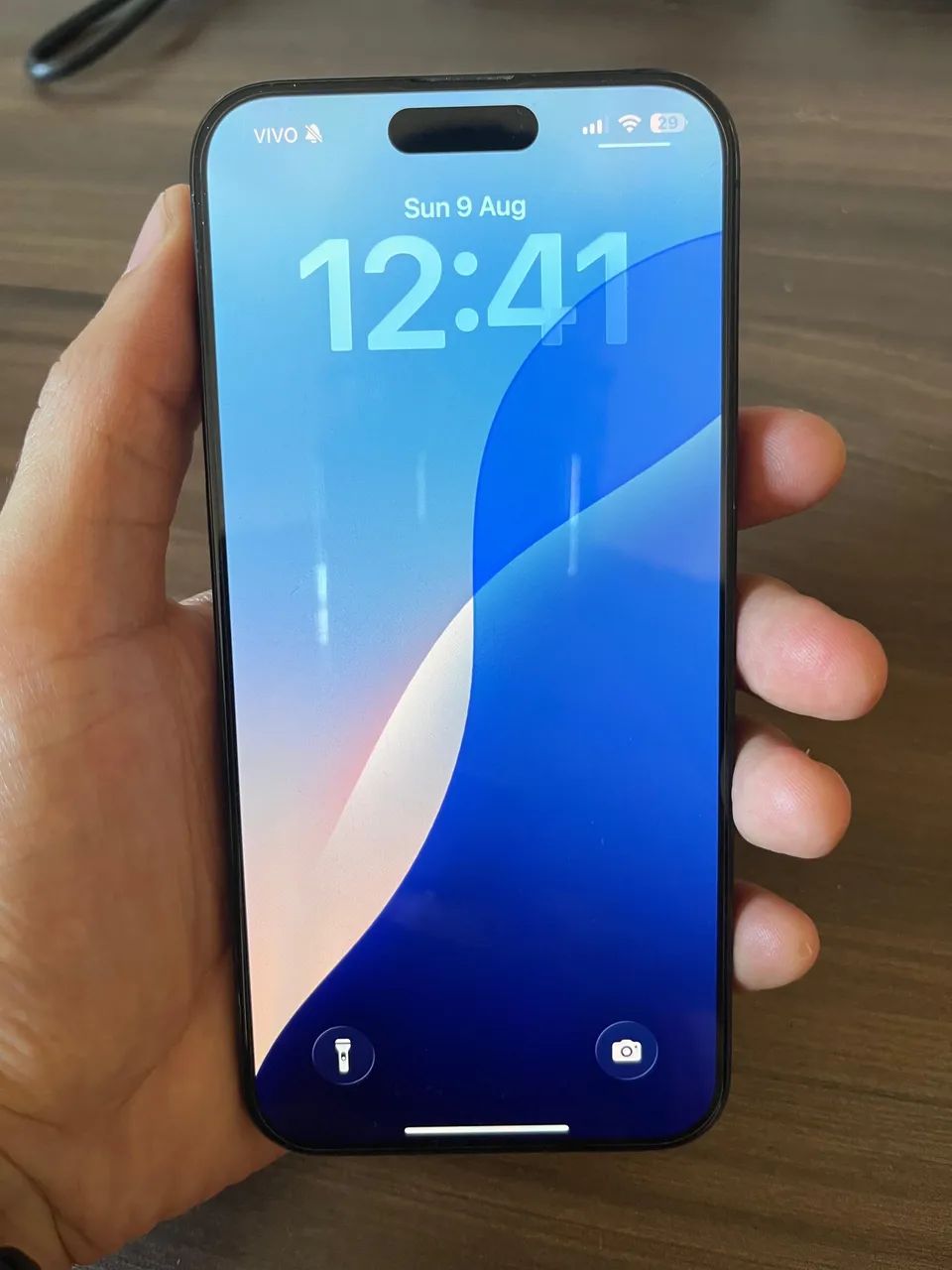 iPhone 15 Pro Max 256GB - muito bem conservado!