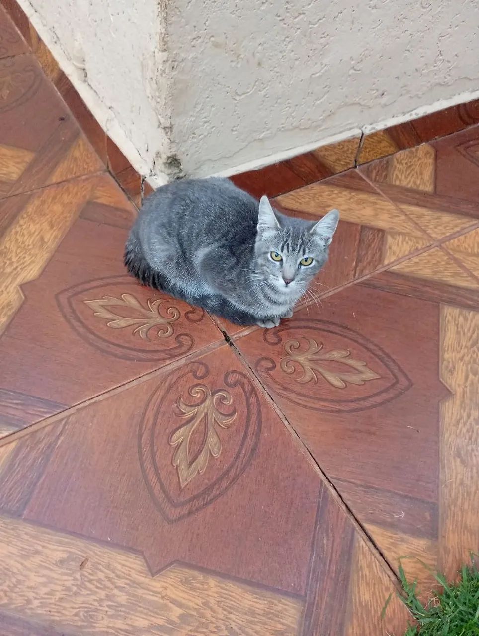 Doação  - Foto 2