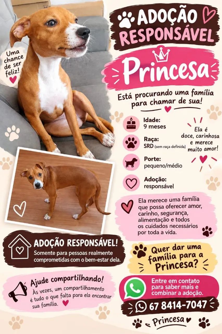Doação 