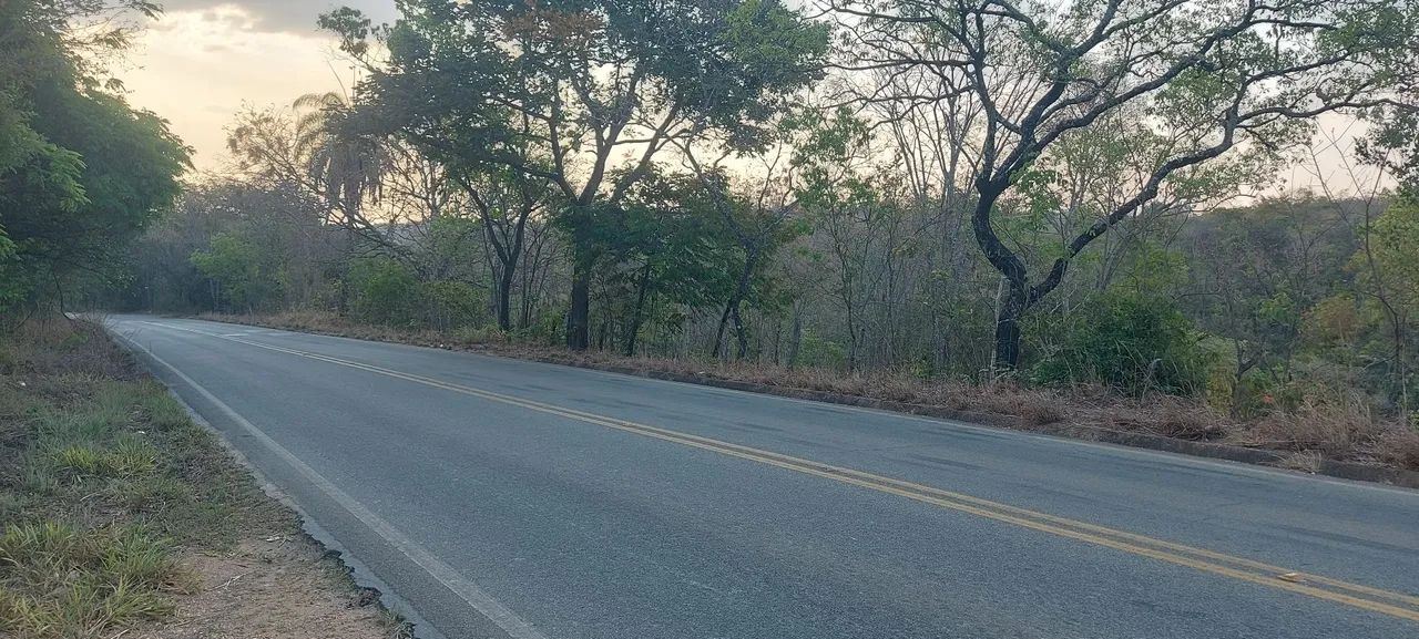 Terreno Comercial as margens da MG 010 - Foto 9