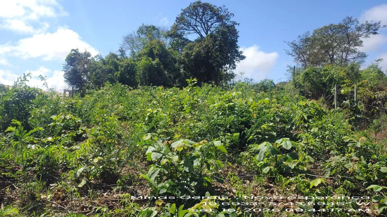 Lote em Nova União Mg
