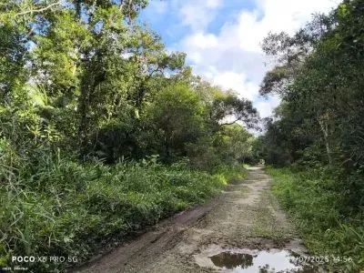 Vendo ou troco chácara próximo a Rochedo  - Foto 2