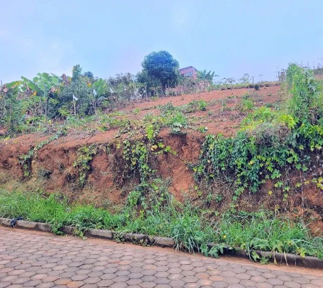 VENDO LOTES EM SÃO DOMINGOS DO PRATA  - Foto 3