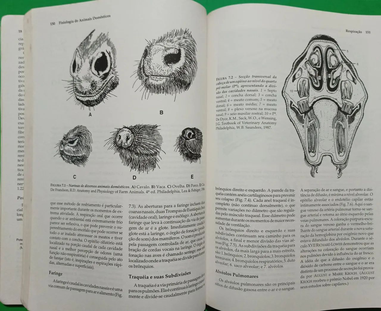 Fisiologia de Animais Domésticos - Foto 3