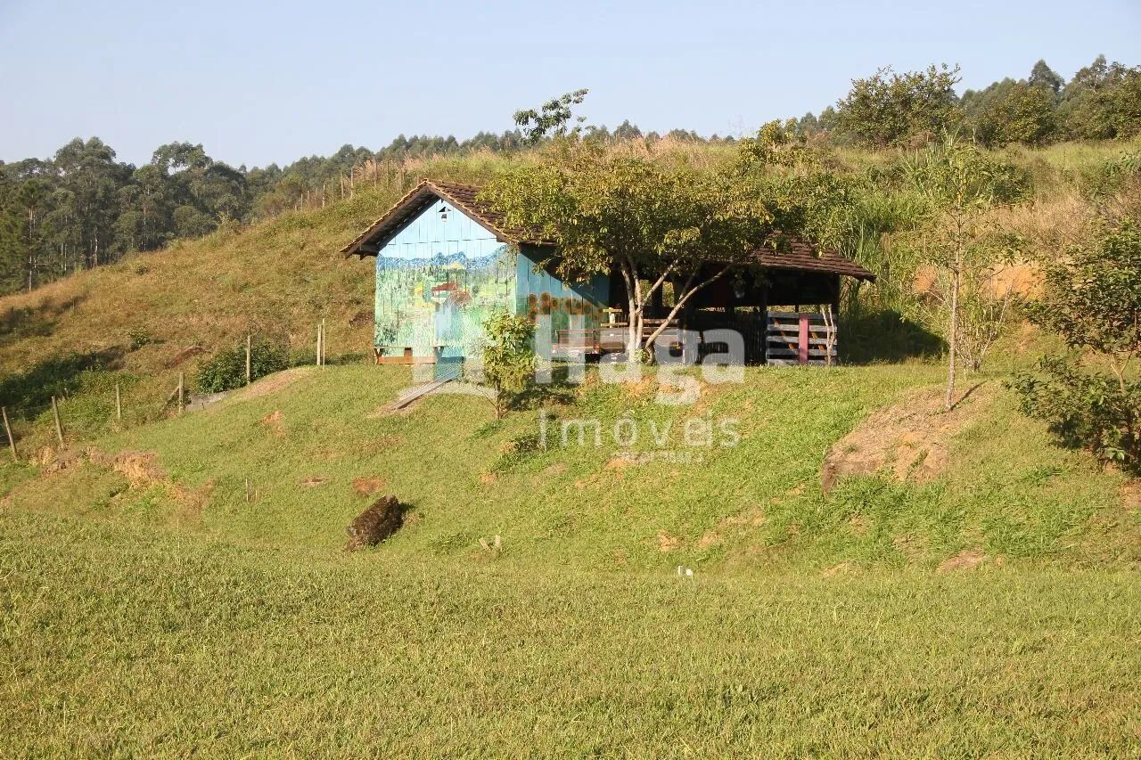 Sítio à venda em Ibirama/SC - Foto 4