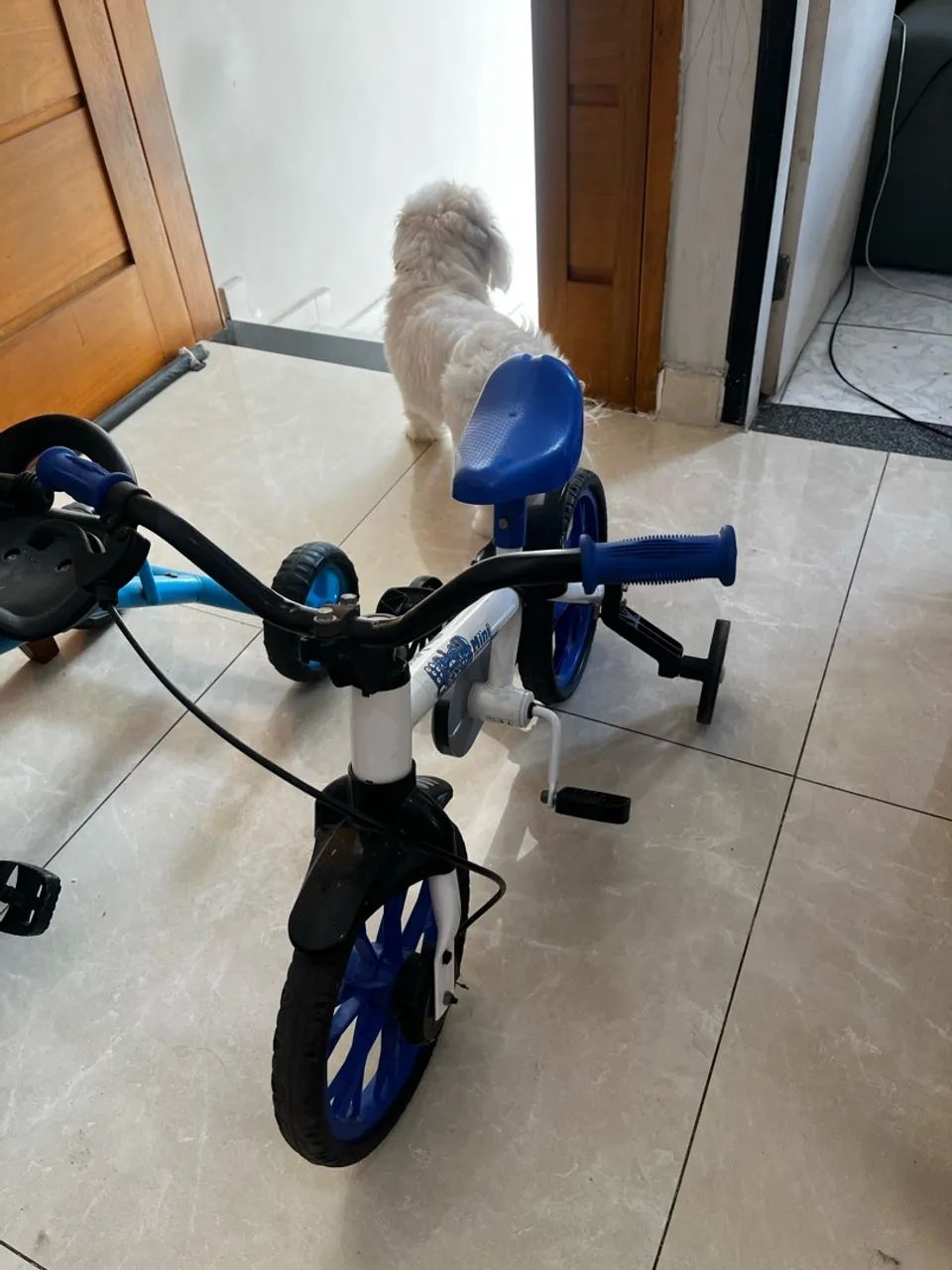 Bicicleta infantil 