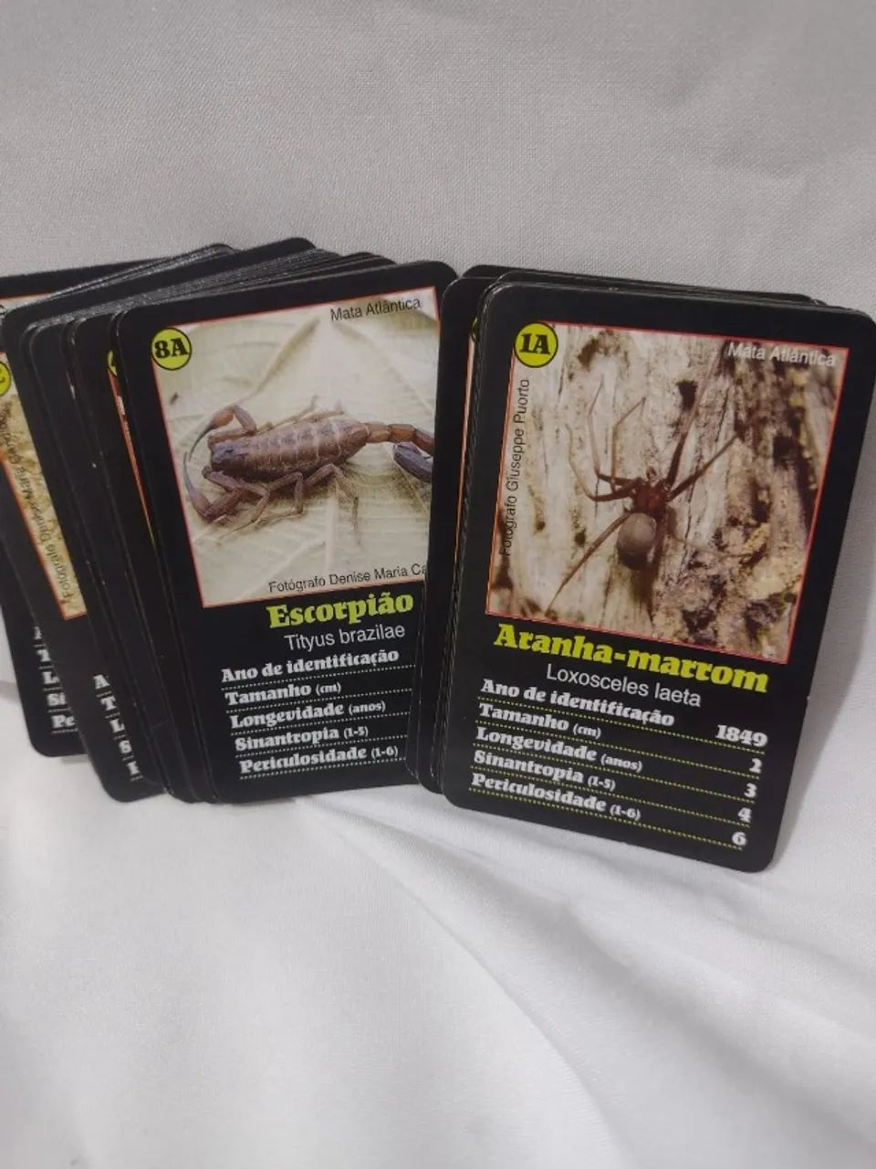 Super Trunfo Aranhas e Escorpiões Original Grow - Foto 3