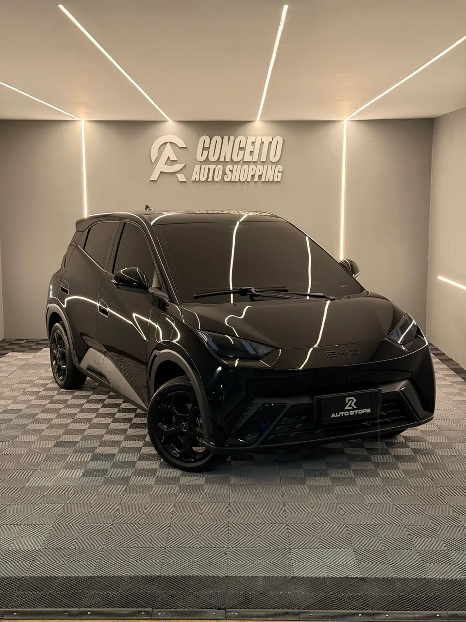 BYD Dolphin Mini (Elétrico) 2026