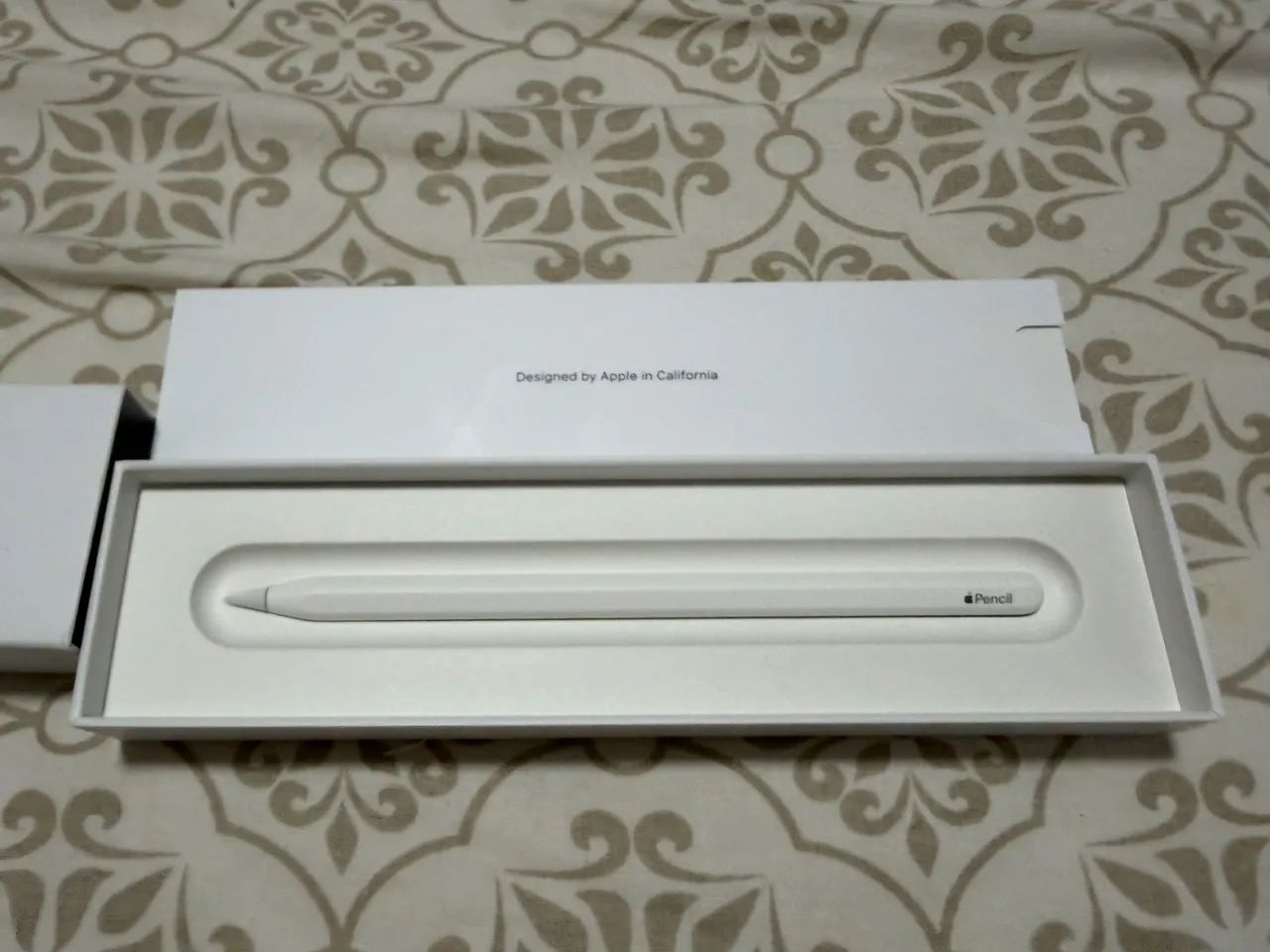 Apple Pencil 2 geração NOVA