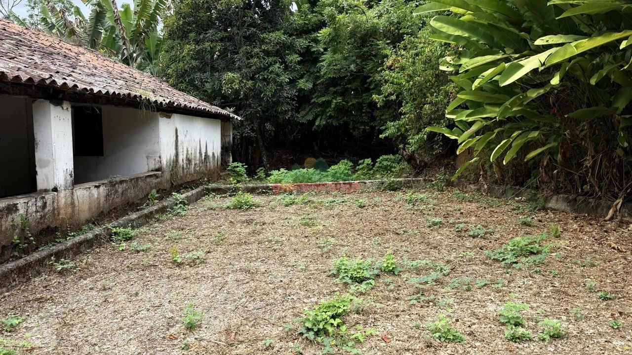 Sítio com 17ha, rio perene, cachoeira e engenho. - Foto 2