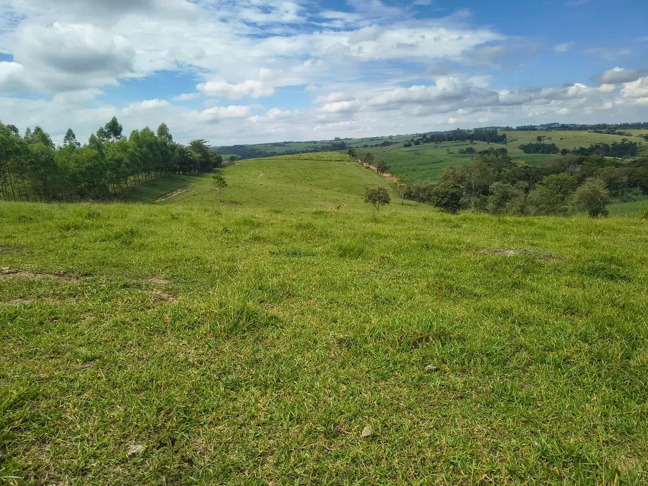 SÍTIO A VENDA COM 22 MIL M² - AÇUDE, DOCUMENTAÇÃO OK - Foto 4