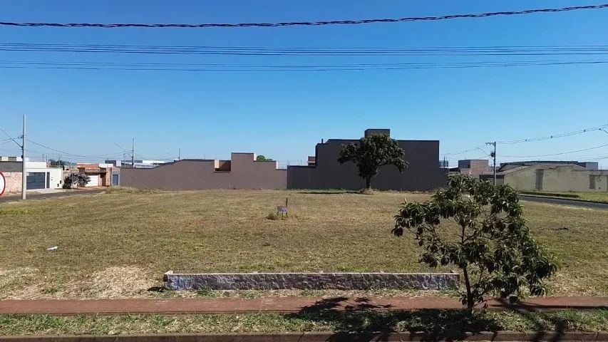 Foto - Uberaba - Parque das Laranjeiras
