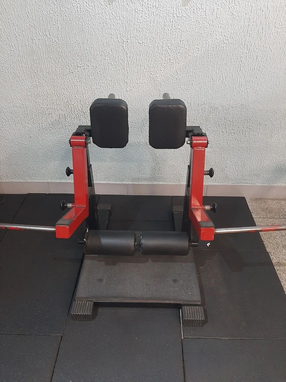 Flexora em pé 
