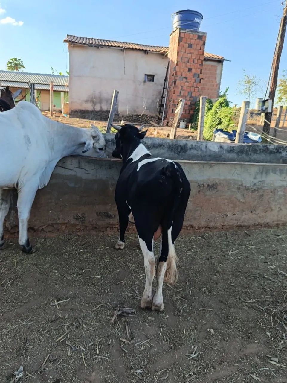 vendo ou troco  - Foto 3