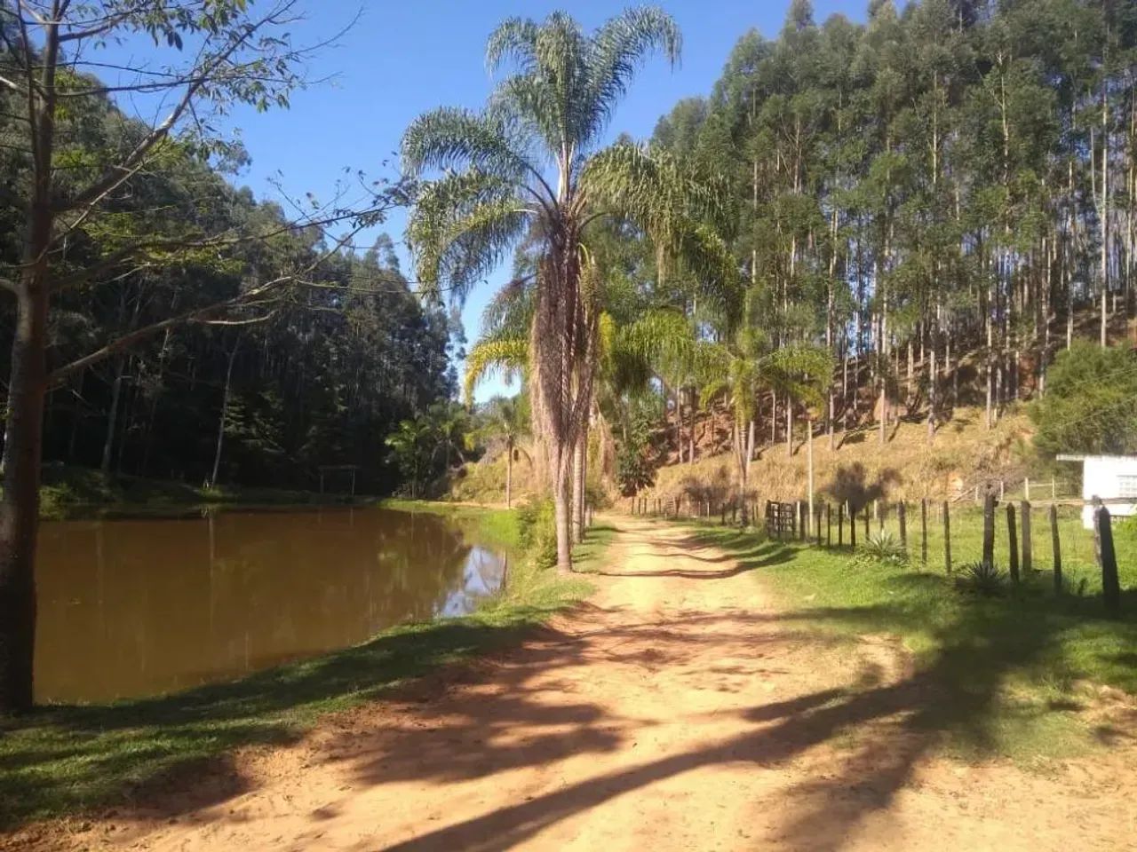 Imóvel para venda possui 3025000 m² com 4 quartos - Foto 4
