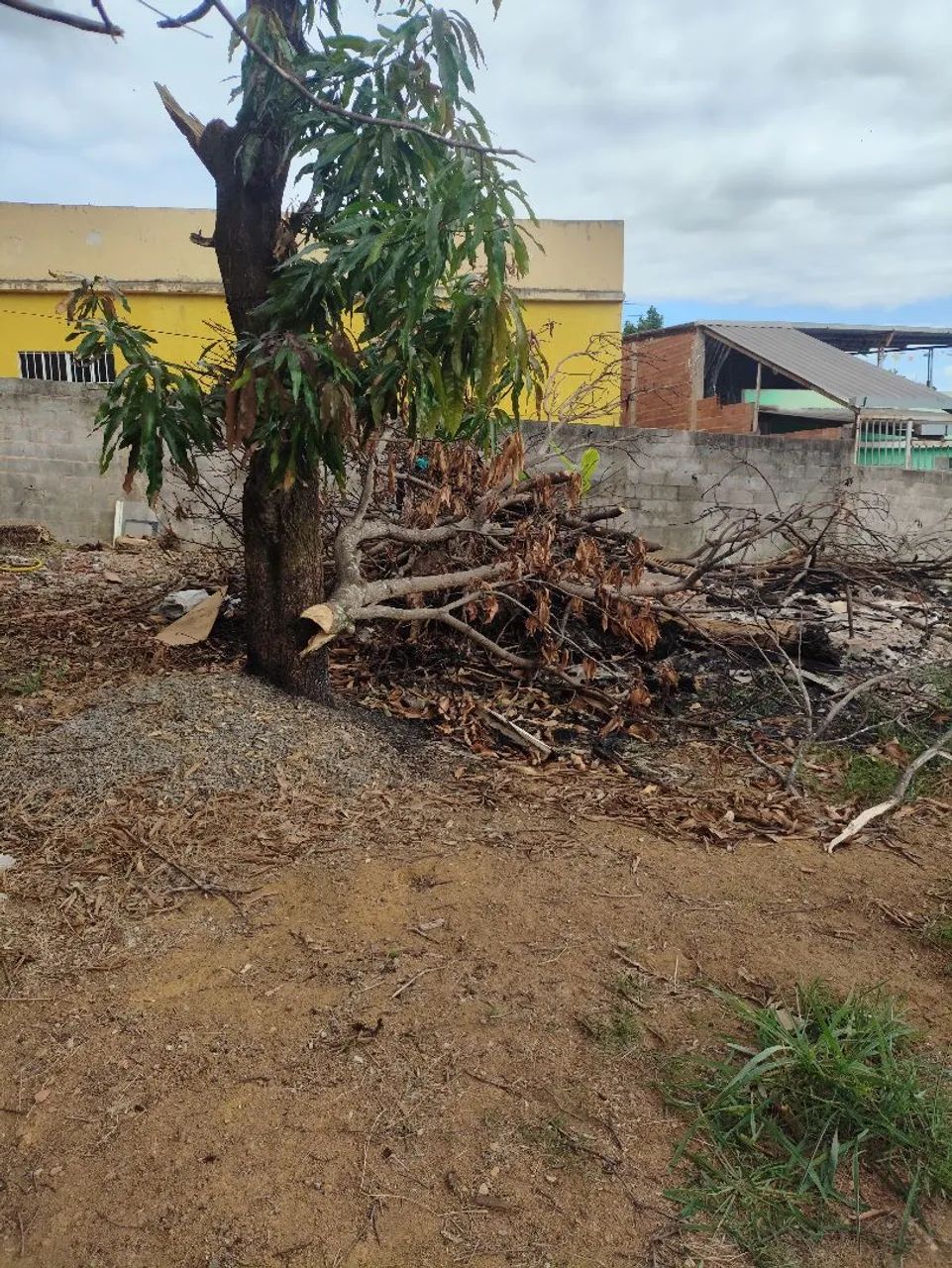 Lote a venda - Foto 5