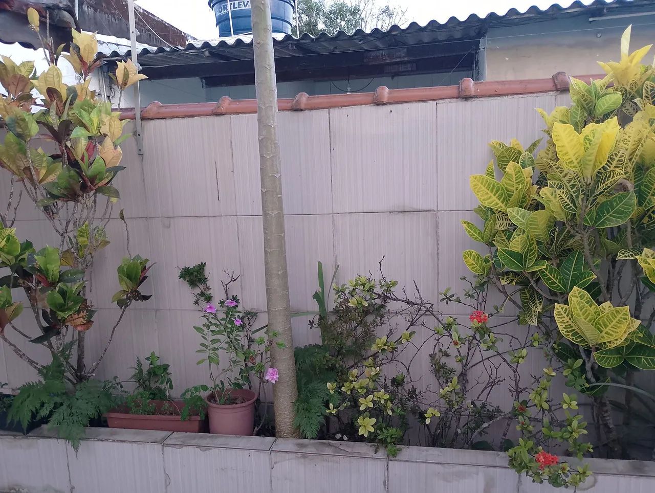 Vendo Casa em MONGAGUÁ  - Foto 5