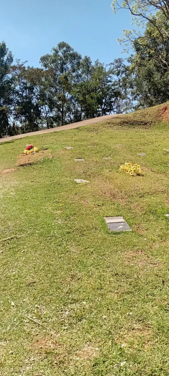 JAZIGO PERPÉTUO NO CEMITÉRIO PARQUE DA SAUDADE.  - Foto 2
