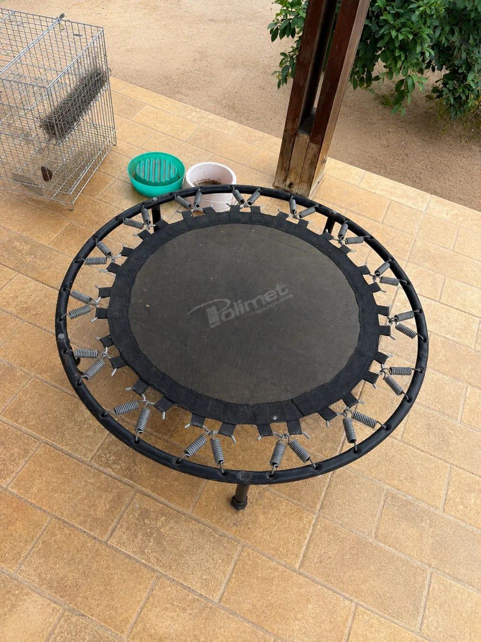 Mini Cama Elástica (Jump) - R$ 250,00