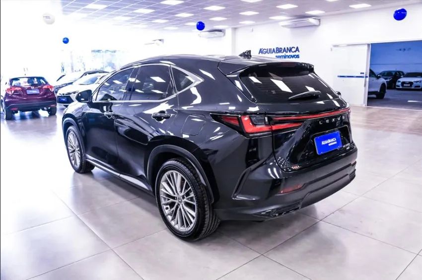 Lexus NX-350h Luxury 2.5 16V Aut. (hybrid), foto 8 de 19