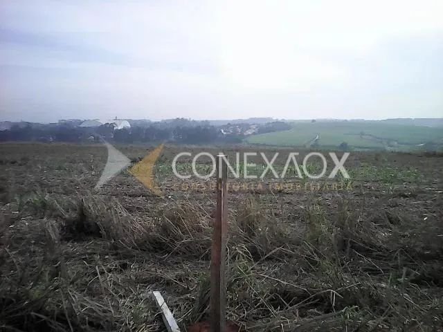 área - Chácara Cruzeiro do Sul - Sumaré - Foto 5