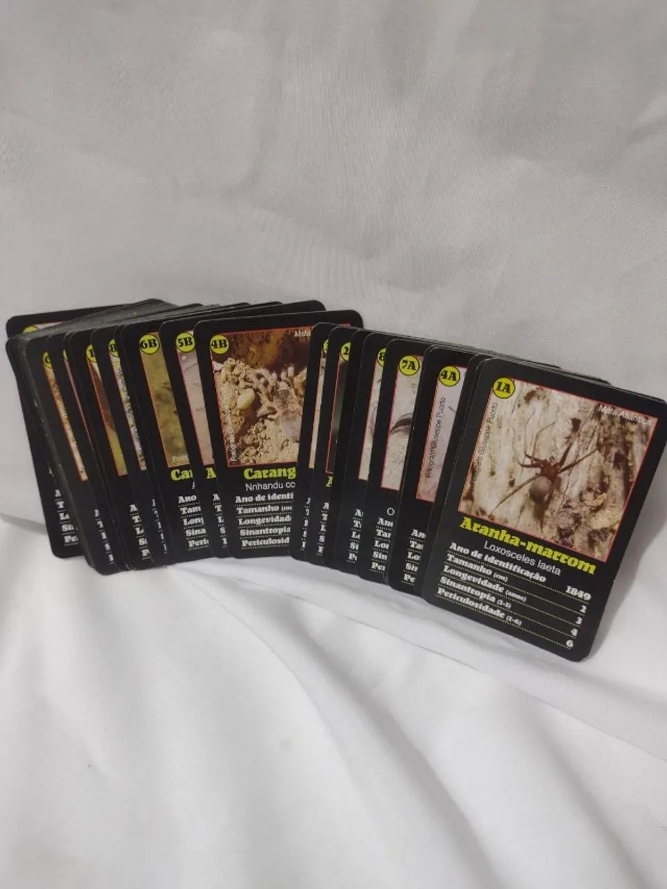 Super Trunfo Aranhas e Escorpiões Original Grow - Foto 4