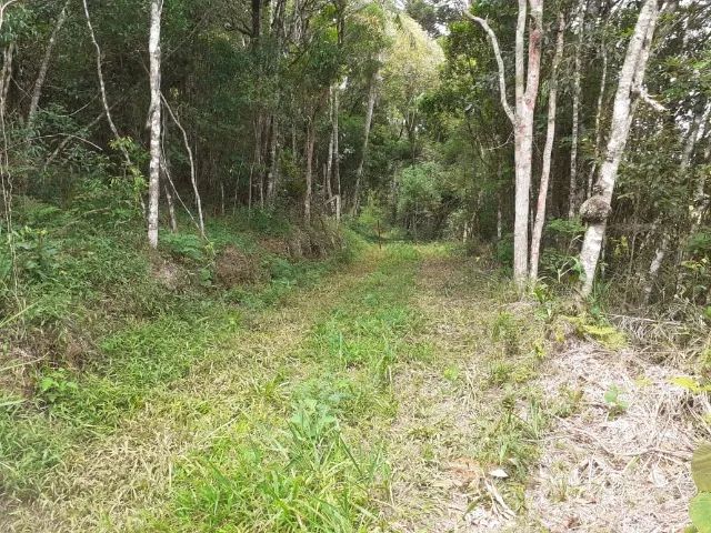 Área Rural em Campo Alegre de 14.000m2 - Foto 5