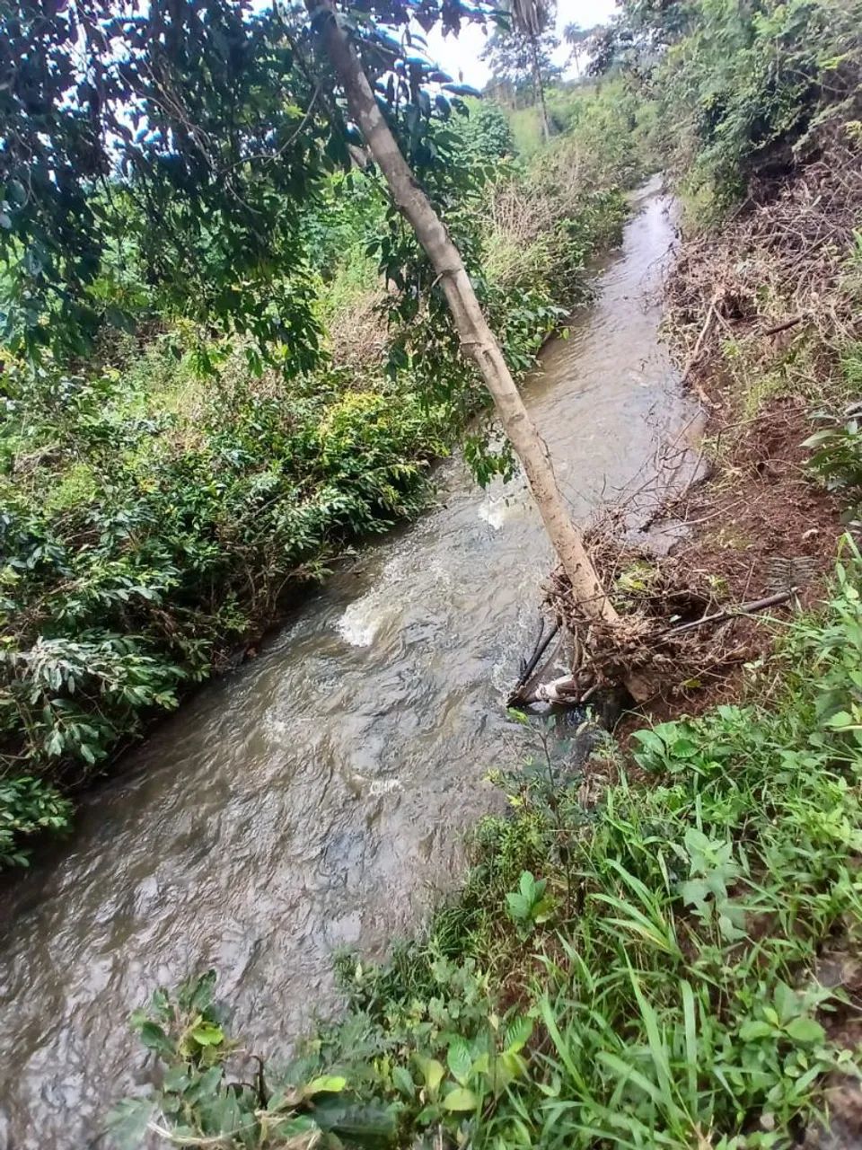 Fazendinha de 40.000 m2  - Foto 2