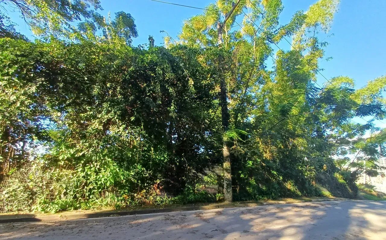 BROGNOLI VENDE - TERRENO AO LADO PONTE HERCÍLIIO LUZ - Foto 5