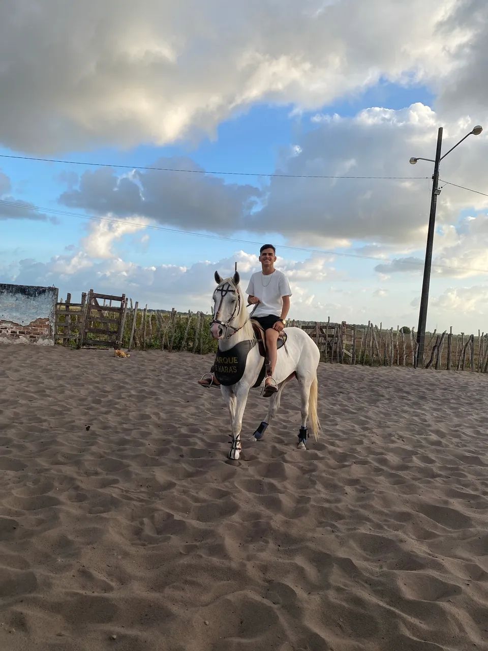 Cavalo pronto de esteira  - Foto 2