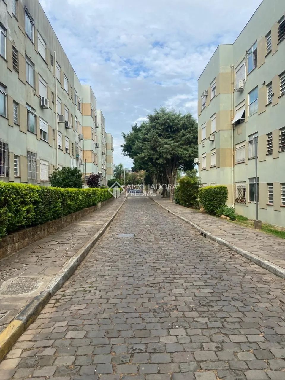 Apartamento no Santa Tereza, Porto Alegre - Foto 5