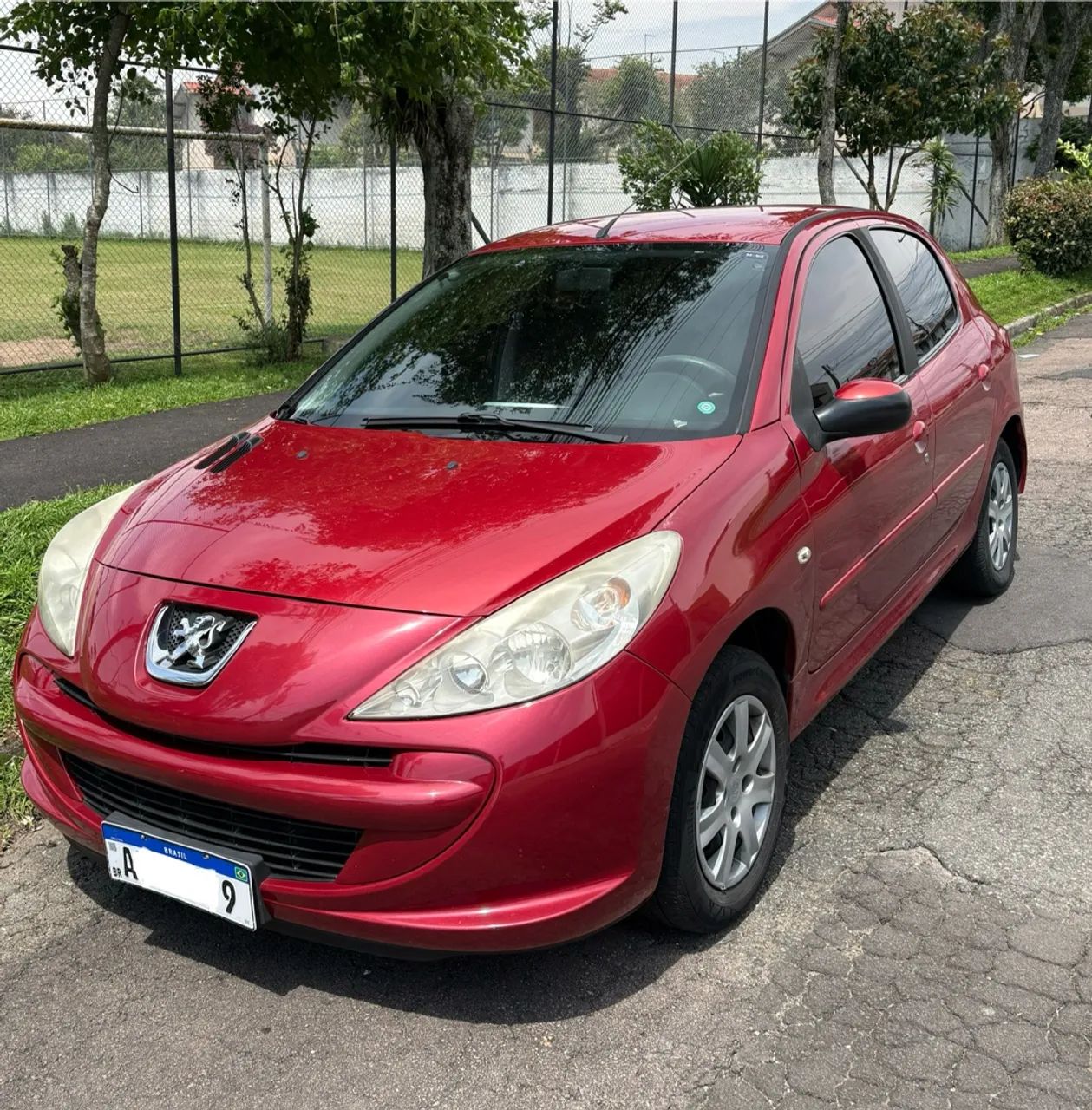 Peugeot 207 XR 1.4 FLEX 8V 3P 2012