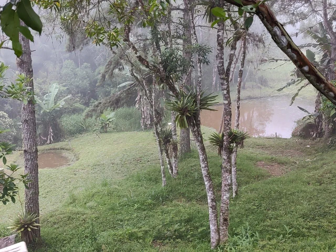Chacara com lagos - Foto 4