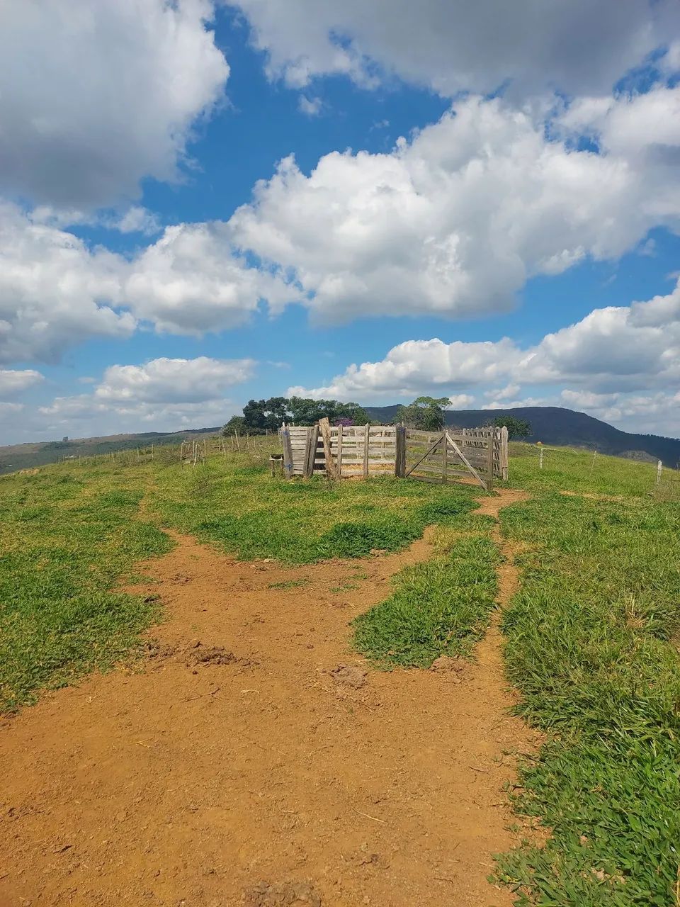 Imóvel rural são thomé das letras  - Foto 3