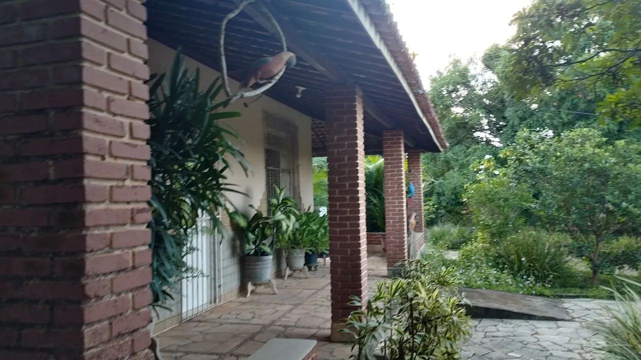 Vendo Sítio no Povoado Aningas São Cristóvão  - Foto 3
