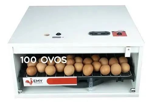 CHOCADEIRA 100 OVOS - SEMINOVA