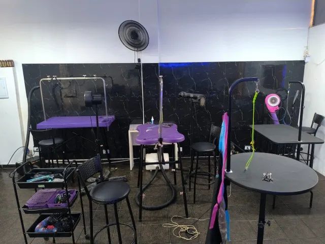Pet shop a venda em pleno Funcionamento - Foto 2
