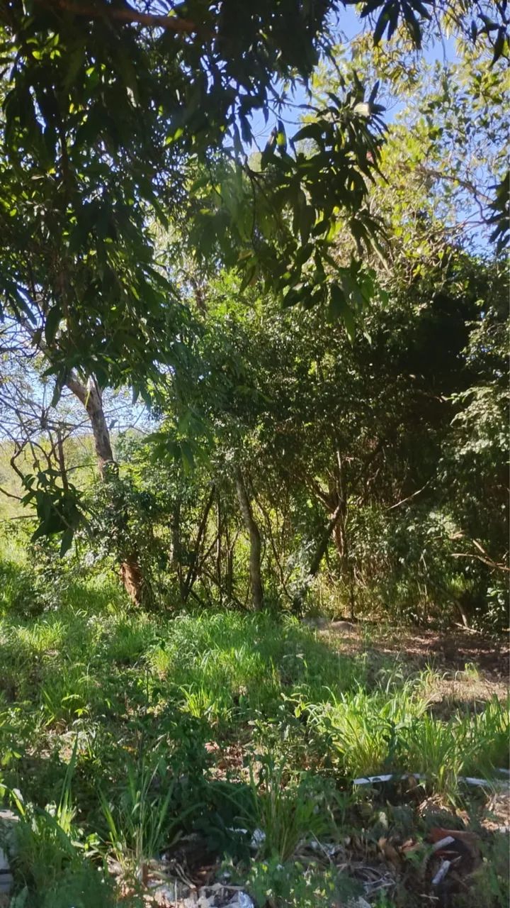 VENDE -SE CHÁCARA  - Foto 4